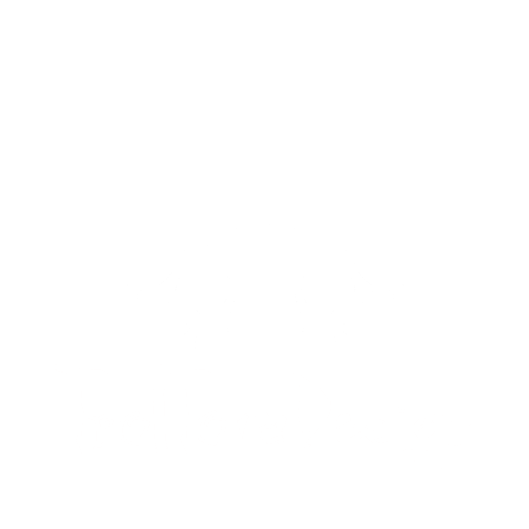 TrollTovaDesign
